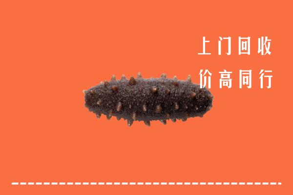 向阳区回收海参