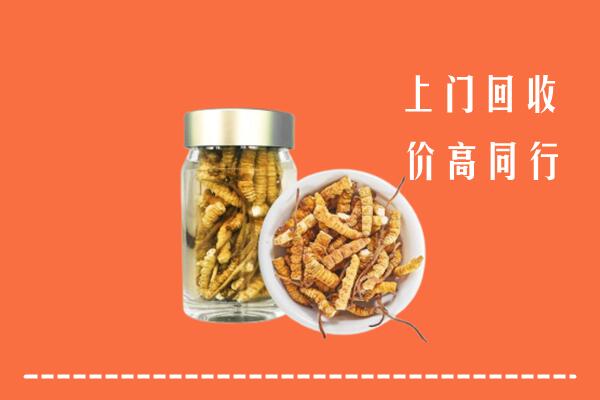 向阳区回收冬虫夏草