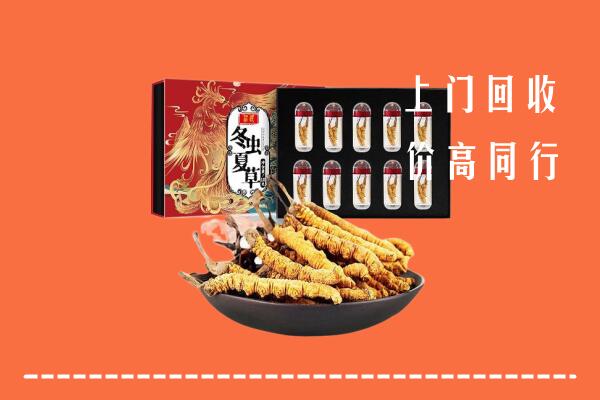 向阳区回收虫草